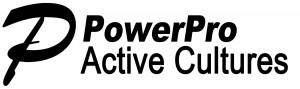 PowerPro_Logov2